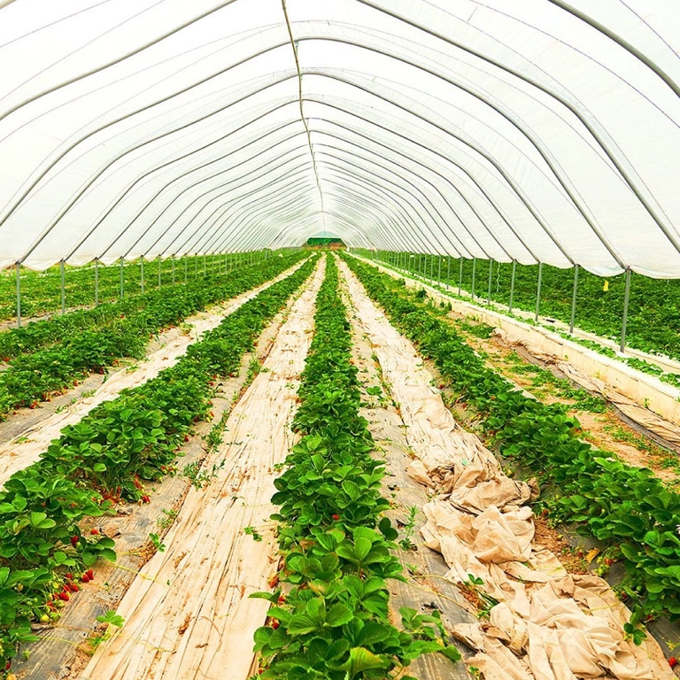 RightFarm customer story 1
